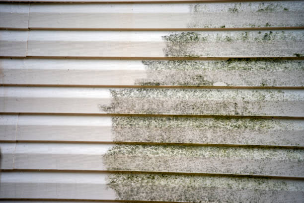 Best Storm Damage Siding Repair  in Prieton, NC