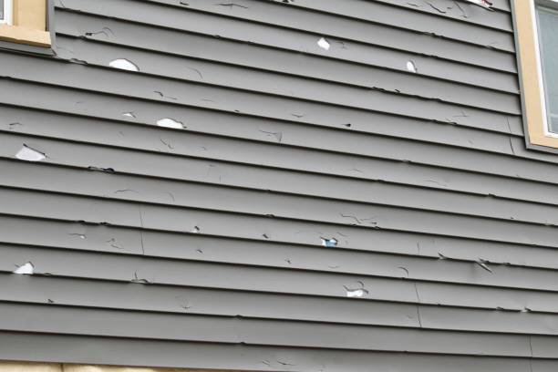 Best Vinyl Siding Installation  in Prieton, NC