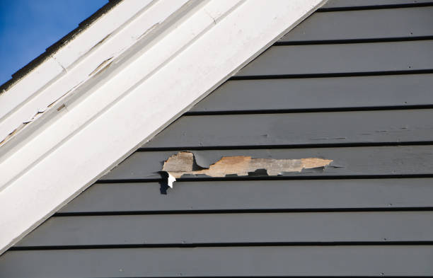 Best Siding Removal and Disposal  in Prieton, NC